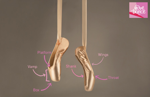 A Guide to Pointe Shoes for Ballet